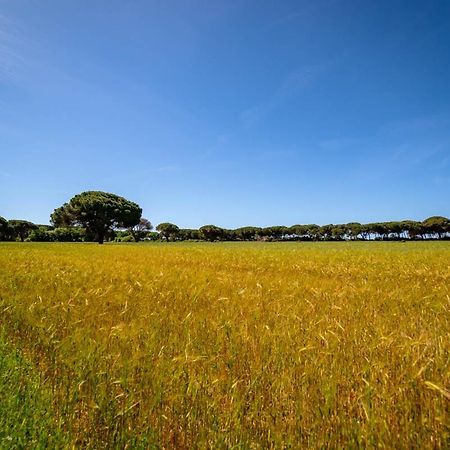 Agriturismo Bio Femminella Principina a Mare Zewnętrze zdjęcie