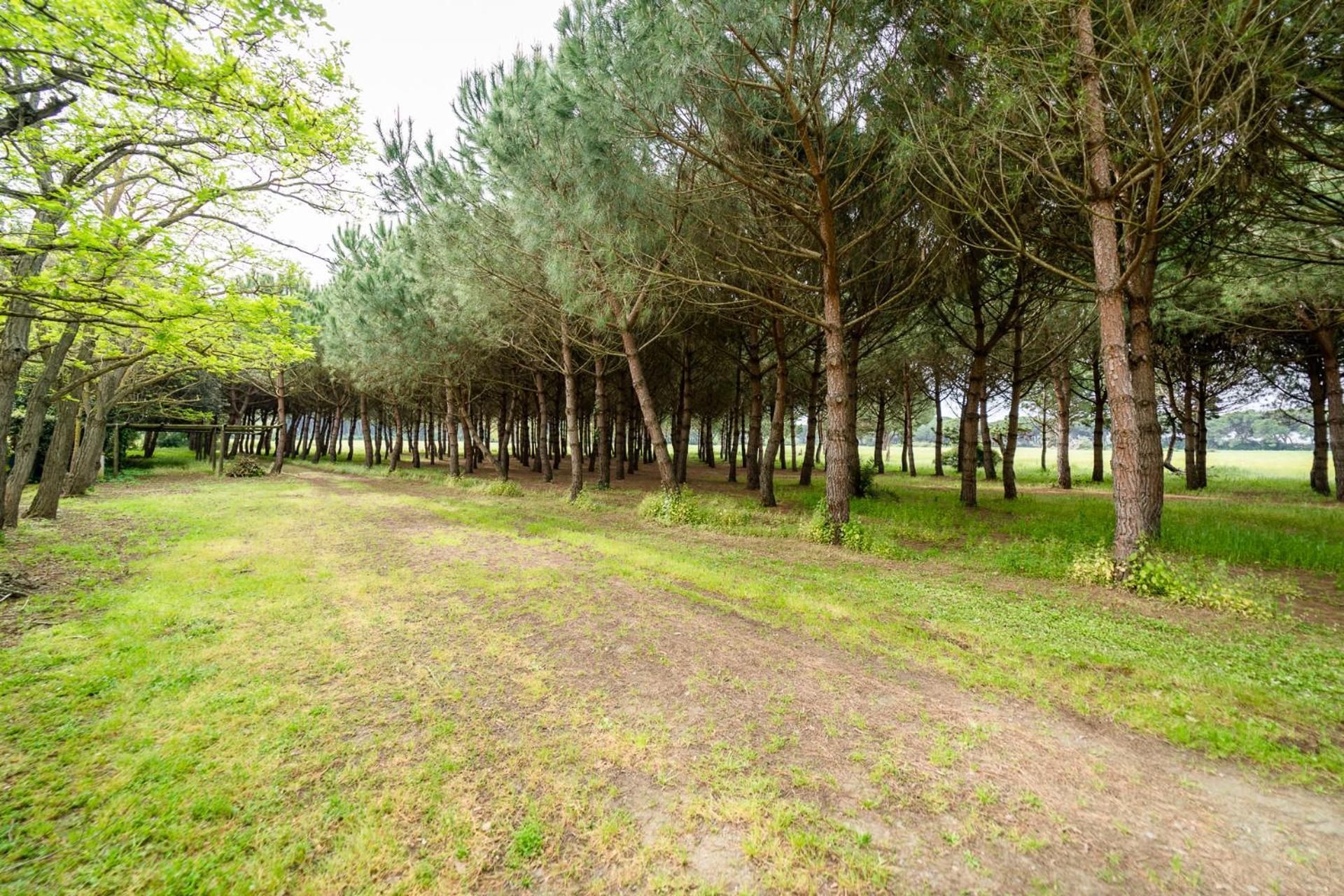 Agriturismo Bio Femminella Principina a Mare Zewnętrze zdjęcie