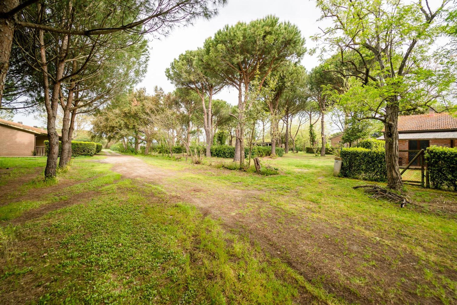 Agriturismo Bio Femminella Principina a Mare Zewnętrze zdjęcie